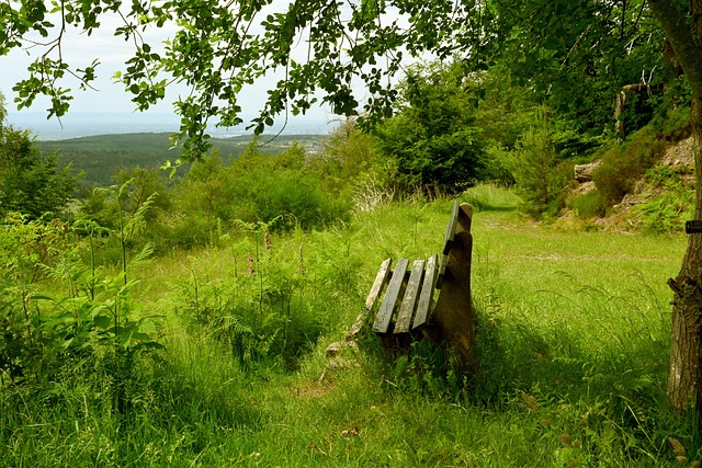 能吸引球迷 能吸引球迷