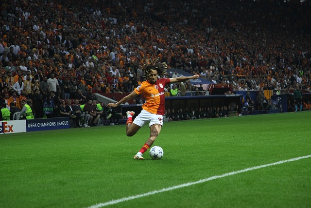 费兰以其敏 费兰以其敏