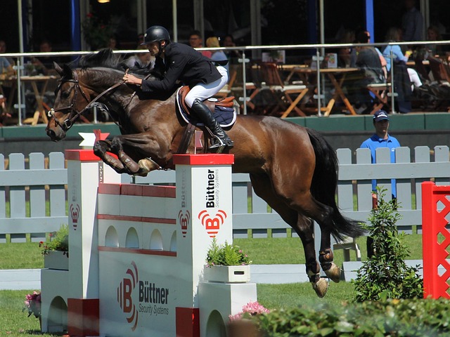 美体现了 美体现了