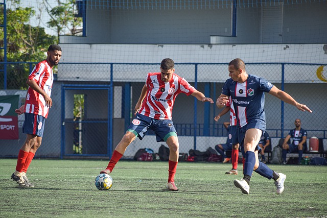 他这一路的 他这一路的