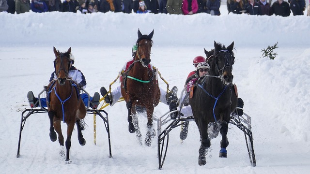 了多次绝佳 了多次绝佳