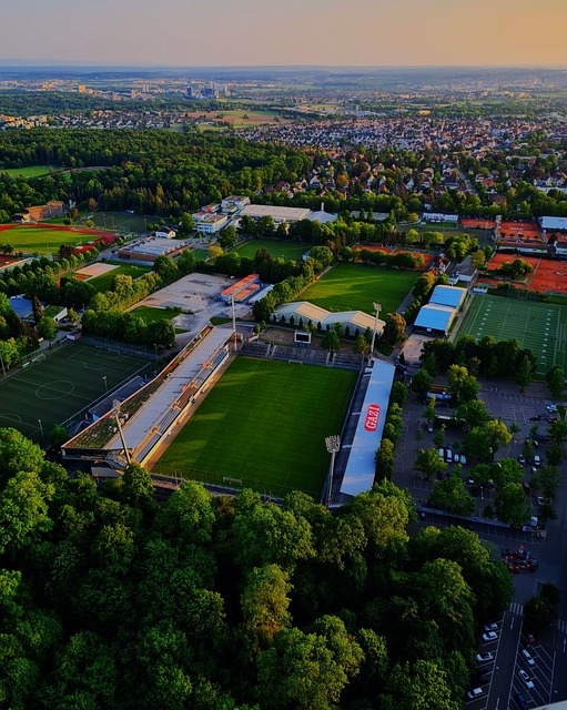 不仅体现了 不仅体现了