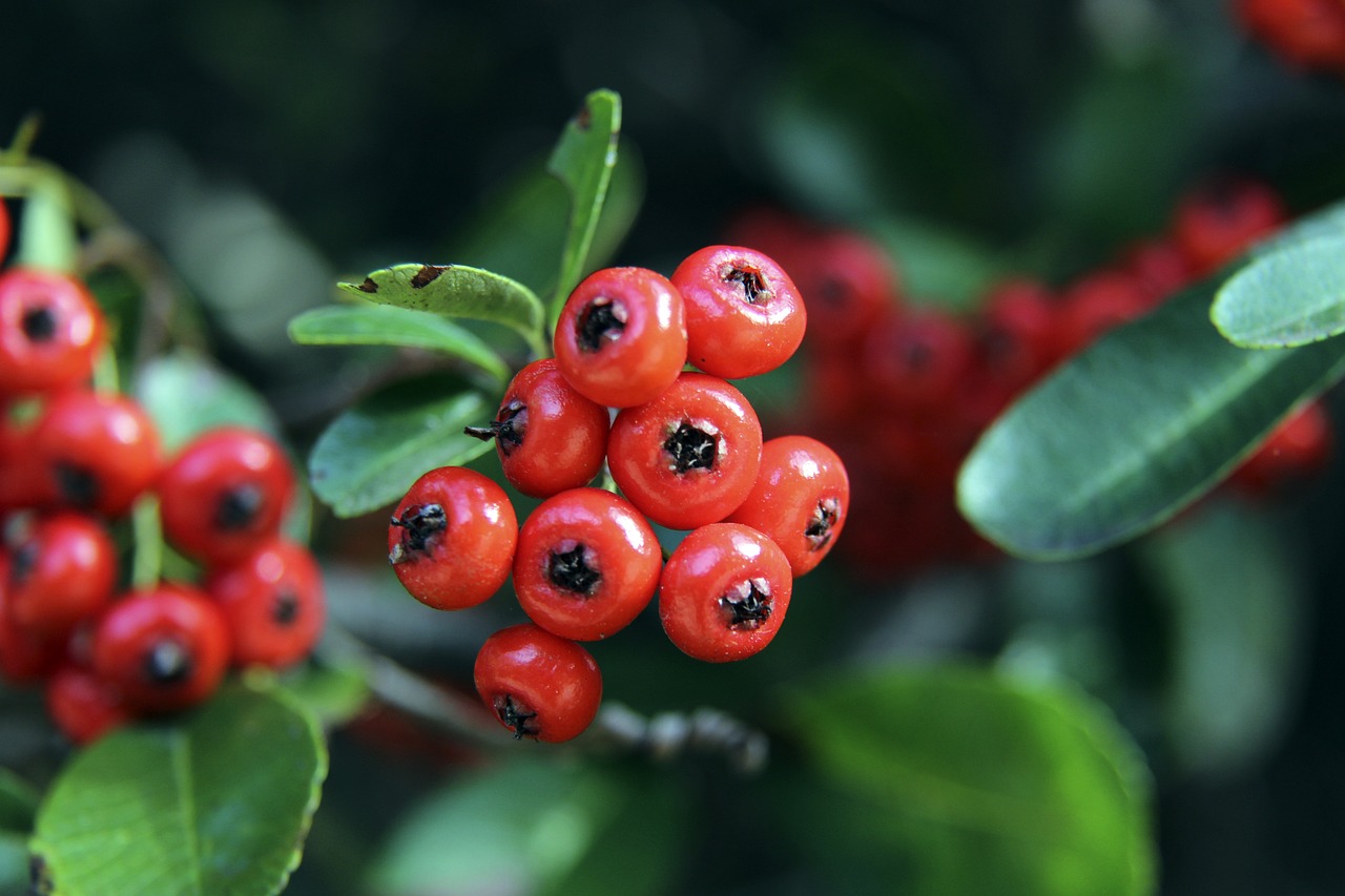 青岛银行与 青岛银行与