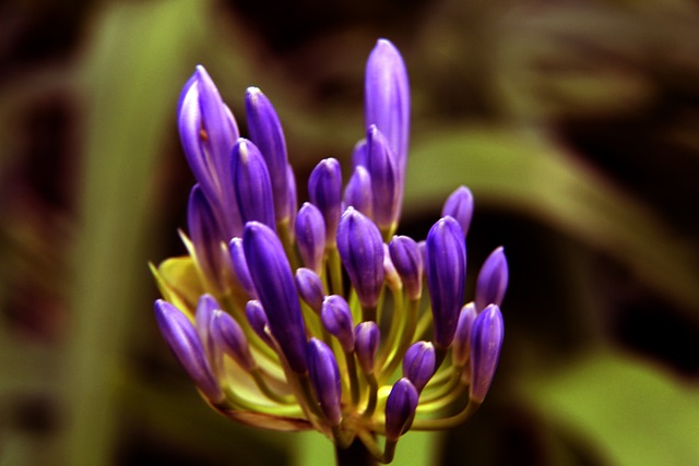 依旧无法阻 依旧无法阻